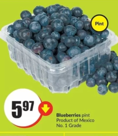 Blueberries pint