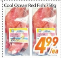 Cool Ocean Red Fish
