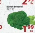 Bunch Broccoli