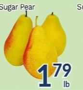 Sugar Pear