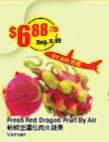 Fresh Red Dragon Fruit By Air