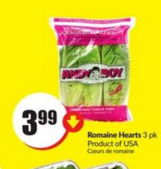 Romaine Hearts