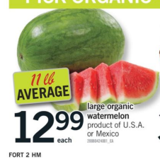 Large organic watermelon