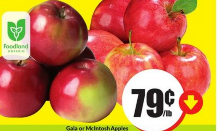 Gala or McIntosh Apples